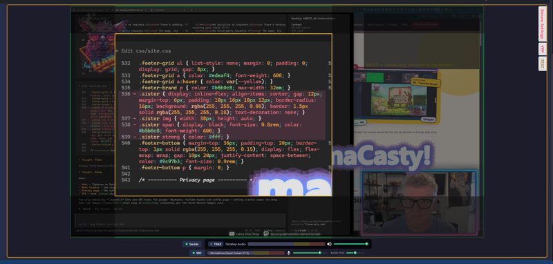 The LlamaCasty live zoom in action: a 2× close-up in the chosen shape, popped up over the live preview.